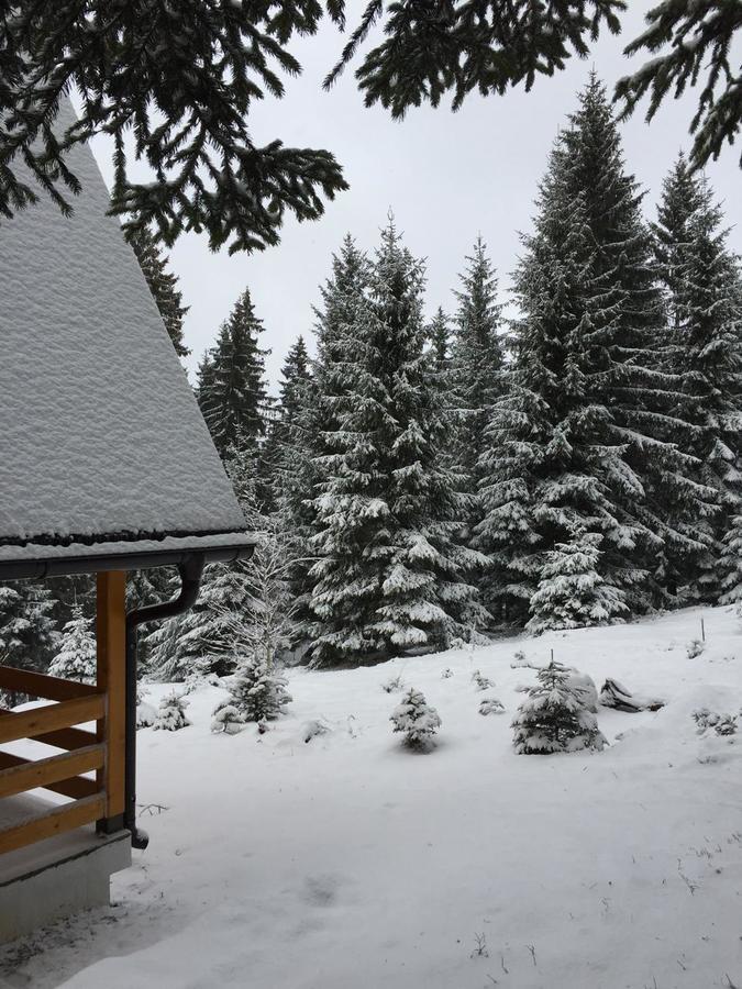 Willa Zlatair Chalets Nova Varoš Zewnętrze zdjęcie